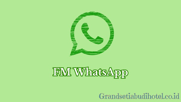 Mengenal Lebih Dalam FM WhatsApp Mod Apk