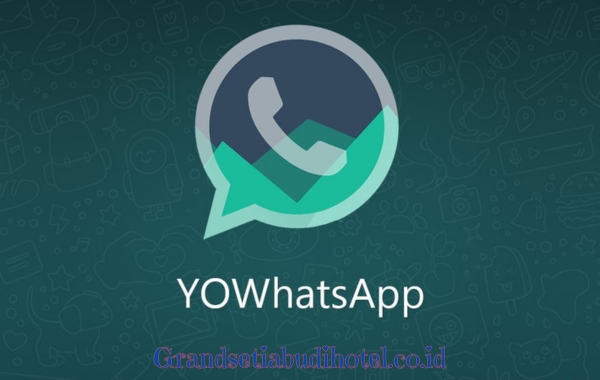 Cara Install YoWhatsApp Apk di Android dan iOS