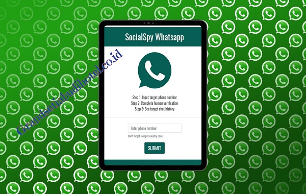 Cara Kerja Website Social Spy WhatsApp