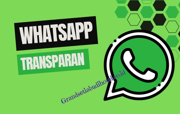 Kekurangan WhatsApp Transparan Mod Apk