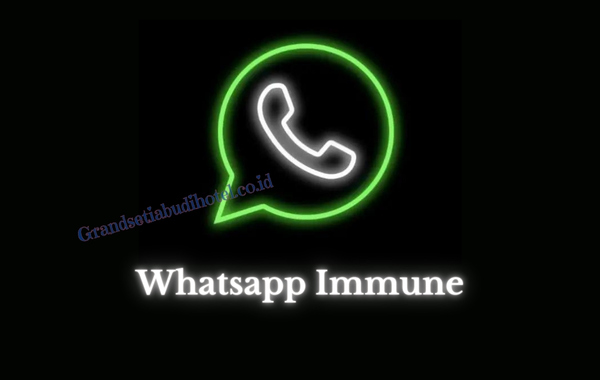 Link Download Whatsapp Immune Apk Mod Terbaru 2023