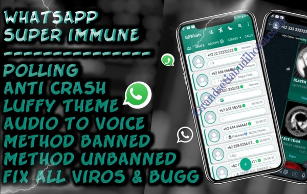 Perbedaan Whatsapp Original dan WA Immune