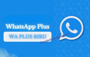WhatsApp Plus (Download WA PLUS) Biru Apk Terbaru 2023