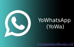 YoWhatsApp (Download YoWa) Apk Terbaru 2023 Anti Kadaluarsa